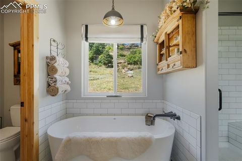 Tiny photo for 325 Spring Valley Drive, Florissant, CO 80816 (MLS # 8044569)