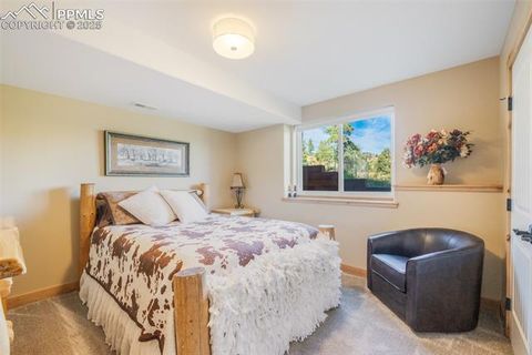 Tiny photo for 325 Spring Valley Drive, Florissant, CO 80816 (MLS # 8044569)