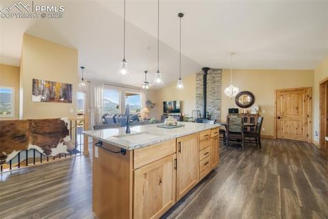 Tiny photo for 325 Spring Valley Drive, Florissant, CO 80816 (MLS # 8044569)