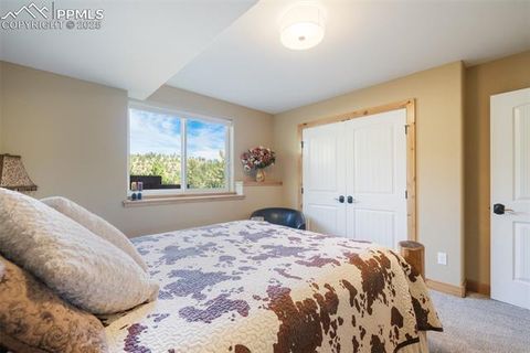 Tiny photo for 325 Spring Valley Drive, Florissant, CO 80816 (MLS # 8044569)