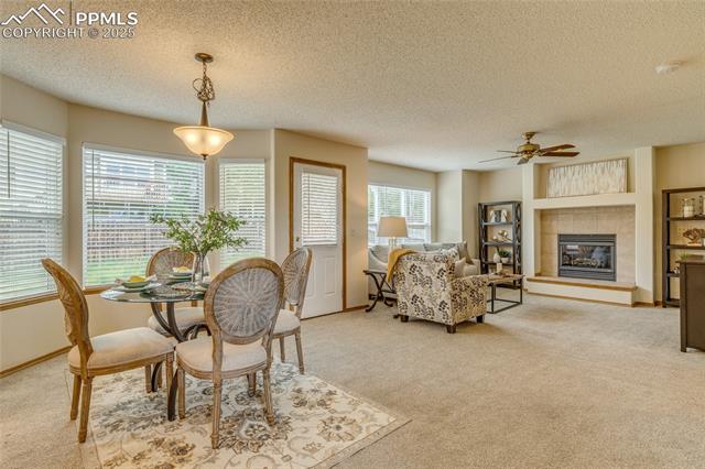 6041 Pioneer Mesa Drive