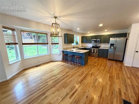 Tiny photo for 1529 Chutney Court, Colorado Springs, CO 80907 (MLS # 9293417)
