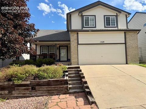 Photo of 1529 Chutney Court, Colorado Springs, CO 80907 (MLS # 9293417)