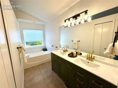 Tiny photo for 1529 Chutney Court, Colorado Springs, CO 80907 (MLS # 9293417)