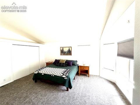 Tiny photo for 1529 Chutney Court, Colorado Springs, CO 80907 (MLS # 9293417)