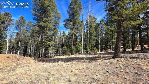 Photo of 19 Serenity Circle, Florissant, CO 80816 (MLS # 6341652)