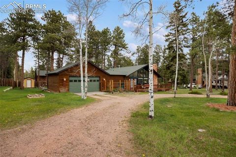 Tiny photo for 500 W Kelly Road, Woodland Park, CO 80863 (MLS # 1917039)
