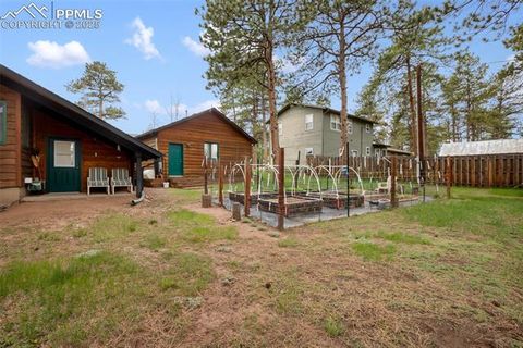 Tiny photo for 500 W Kelly Road, Woodland Park, CO 80863 (MLS # 1917039)