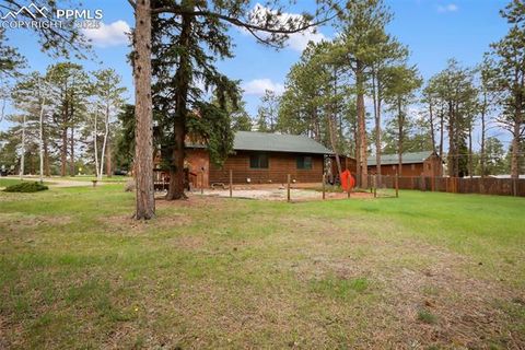 Tiny photo for 500 W Kelly Road, Woodland Park, CO 80863 (MLS # 1917039)