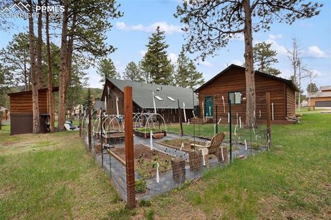 Tiny photo for 500 W Kelly Road, Woodland Park, CO 80863 (MLS # 1917039)