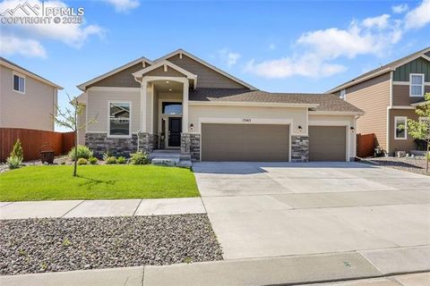 Photo of 13165 Crooked Hill Drive, Peyton, CO 80831 (MLS # 8746070)
