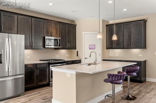 1367 Plentiful Drive