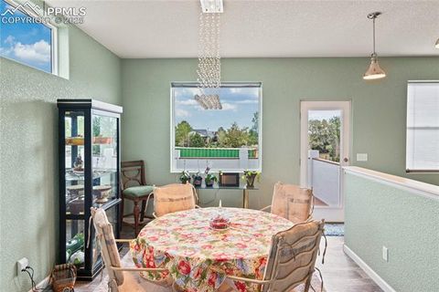 Tiny photo for 1867 W Costilla Drive, Pueblo West, CO 81007 (MLS # 3556556)
