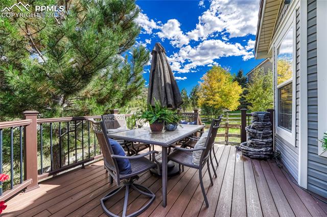 1410 Exquisite Street, Castle Rock, CO, 80109 1410 Exquisite Street