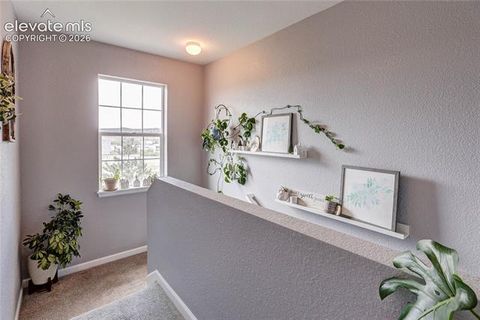 Tiny photo for 1458 Nemrick Place, Castle Rock, CO 80109 (MLS # 9730272)