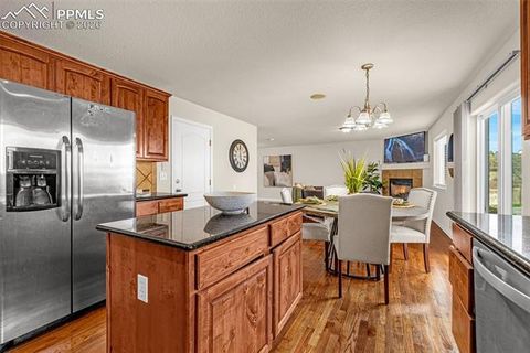 Tiny photo for 11633 Black Maple Lane, Colorado Springs, CO 80921 (MLS # 2649311)