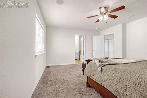 Tiny photo for 11633 Black Maple Lane, Colorado Springs, CO 80921 (MLS # 2649311)