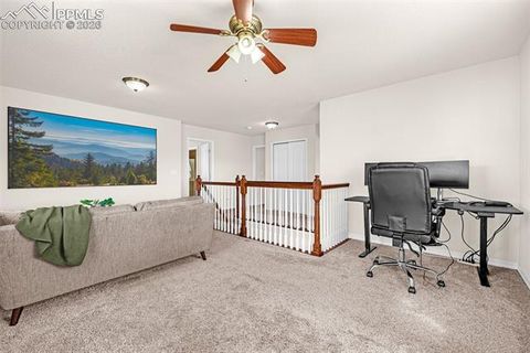 Tiny photo for 11633 Black Maple Lane, Colorado Springs, CO 80921 (MLS # 2649311)