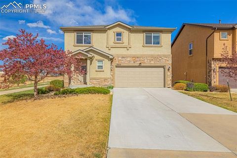 Photo of 11633 Black Maple Lane, Colorado Springs, CO 80921 (MLS # 2649311)
