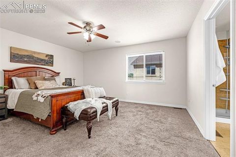 Tiny photo for 11633 Black Maple Lane, Colorado Springs, CO 80921 (MLS # 2649311)