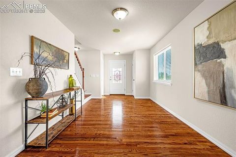 Tiny photo for 11633 Black Maple Lane, Colorado Springs, CO 80921 (MLS # 2649311)