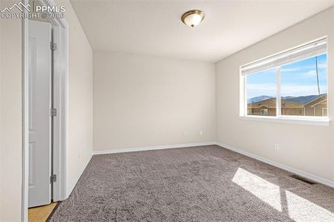 Tiny photo for 11633 Black Maple Lane, Colorado Springs, CO 80921 (MLS # 2649311)
