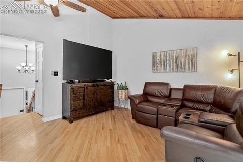 Tiny photo for 417 W Columbine Avenue, Woodland Park, CO 80863 (MLS # 4127705)