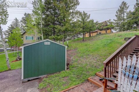 Tiny photo for 417 W Columbine Avenue, Woodland Park, CO 80863 (MLS # 4127705)