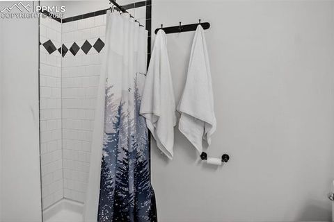 Tiny photo for 417 W Columbine Avenue, Woodland Park, CO 80863 (MLS # 4127705)