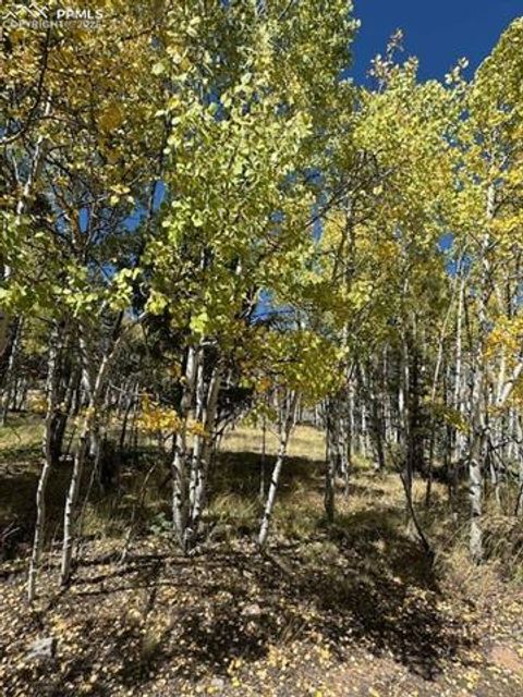 Photo of 135 Powderhorn Lane, Lake George, CO 80827 (MLS # 3253167)