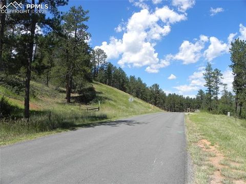Photo of 4144 Cheyenne Drive, Larkspur, CO 80118 (MLS # 1696415)