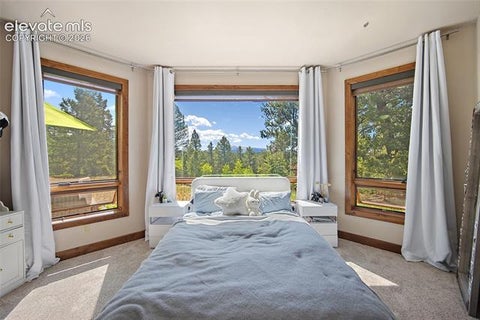 Tiny photo for 4267 County Road 51, Divide, CO 80814 (MLS # 2788663)
