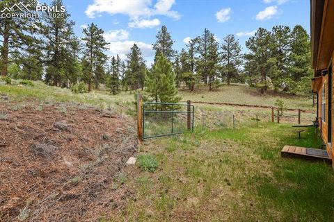 Tiny photo for 4687 W Highway 24, Florissant, CO 80816 (MLS # 3160222)