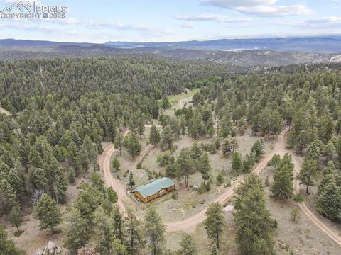 Tiny photo for 4687 W Highway 24, Florissant, CO 80816 (MLS # 3160222)