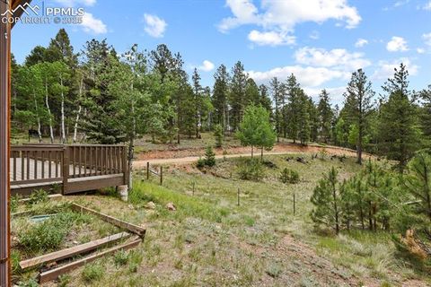 Tiny photo for 4687 W Highway 24, Florissant, CO 80816 (MLS # 3160222)