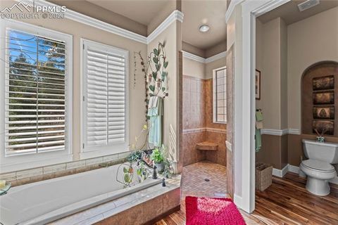 Tiny photo for 8465 Aspenglow Lane, Cascade, CO 80809 (MLS # 4620197)