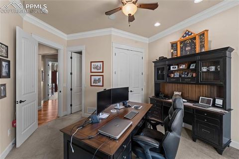 Tiny photo for 8465 Aspenglow Lane, Cascade, CO 80809 (MLS # 4620197)