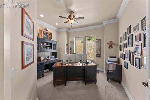 Tiny photo for 8465 Aspenglow Lane, Cascade, CO 80809 (MLS # 4620197)