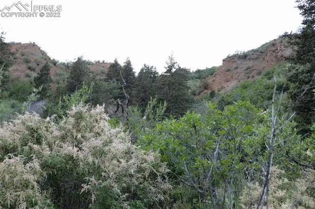 Manitou Springs, Colorado 80829, United States, ,Land,Active,75442