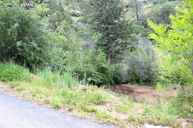 Manitou Springs, Colorado 80829, United States, ,Land,Active,75442