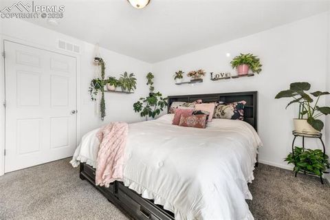 Tiny photo for 9666 Lone Oak Lane, Colorado Springs, CO 80927 (MLS # 8927452)