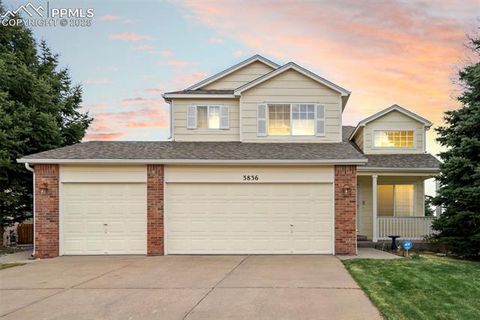 Photo of 3836 Tee Shot Drive, Colorado Springs, CO 80922 (MLS # 5344216) Photo of 3836 Tee Shot Drive, Colorado Springs, CO 80922 (MLS # 5344216)