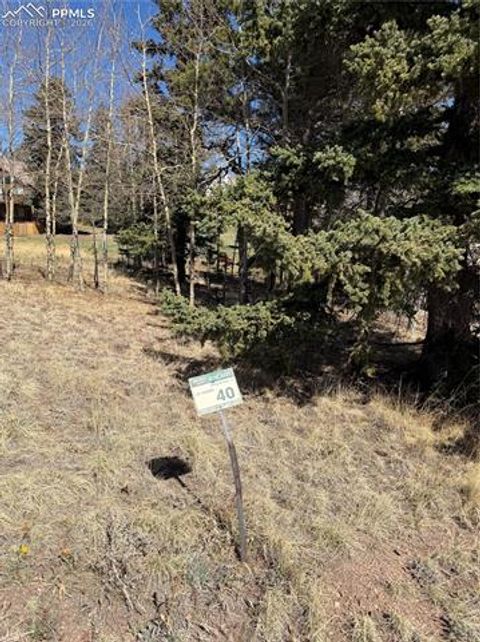 Photo of 405 Meadow Park Drive, Divide, CO 80814 (MLS # 3998236)
