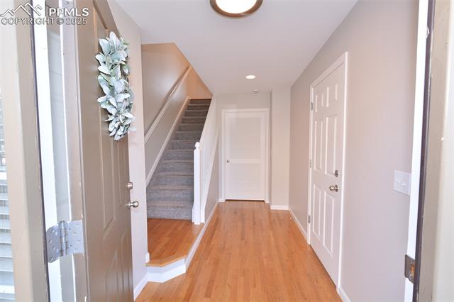 1115 Yellow Dogwood Heights