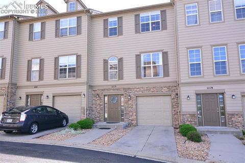 1115 Yellow Dogwood Heights Monument CO 80132