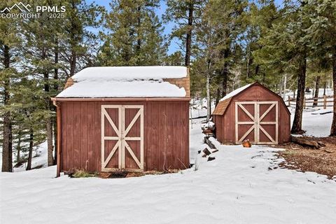 Tiny photo for 551 Cottonwood Lake Drive, Divide, CO 80814 (MLS # 9119317)