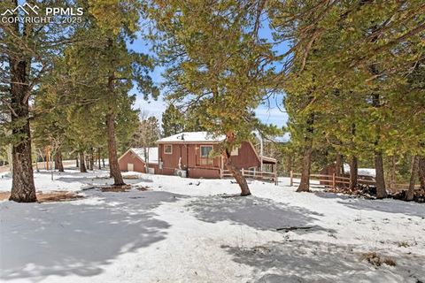 Tiny photo for 551 Cottonwood Lake Drive, Divide, CO 80814 (MLS # 9119317)
