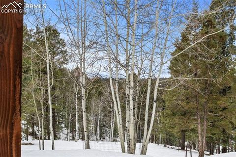 Tiny photo for 551 Cottonwood Lake Drive, Divide, CO 80814 (MLS # 9119317)