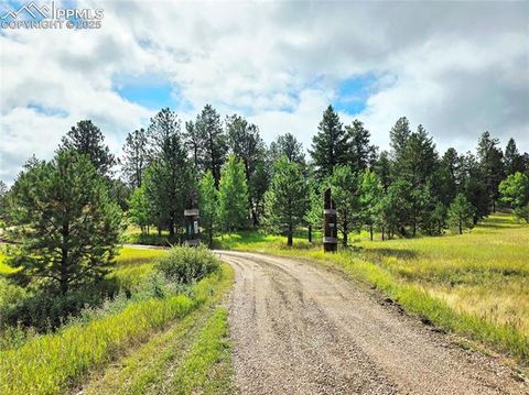 Tiny photo for 277 Cherokee Drive, Florissant, CO 80816 (MLS # 1684033)