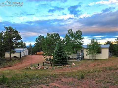 Tiny photo for 277 Cherokee Drive, Florissant, CO 80816 (MLS # 1684033)